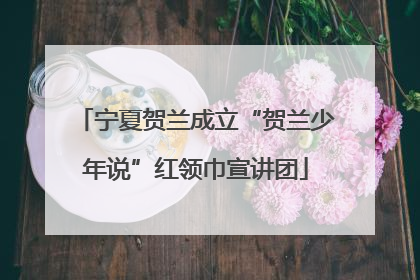 宁夏贺兰成立“贺兰少年说”红领巾宣讲团