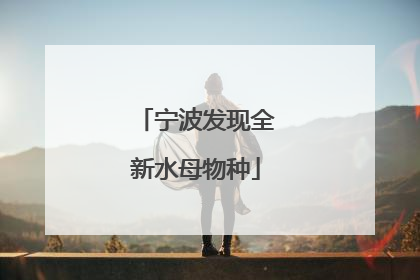 宁波发现全新水母物种