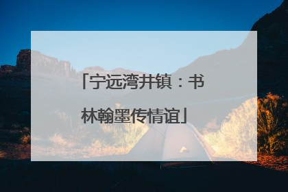 宁远湾井镇：书林翰墨传情谊