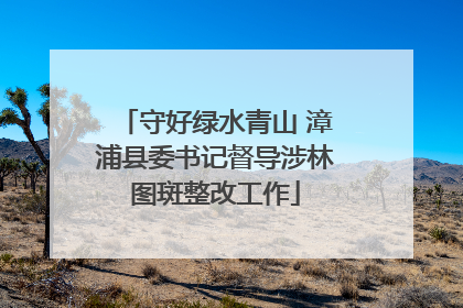 守好绿水青山 漳浦县委书记督导涉林图斑整改工作