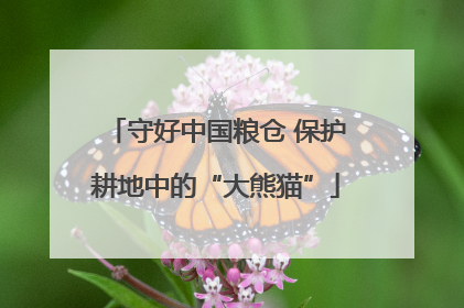 守好中国粮仓 保护耕地中的“大熊猫”