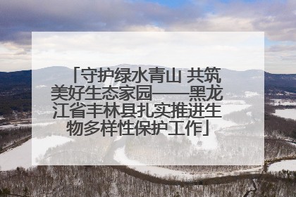 守护绿水青山 共筑美好生态家园——黑龙江省丰林县扎实推进生物多样性保护工作