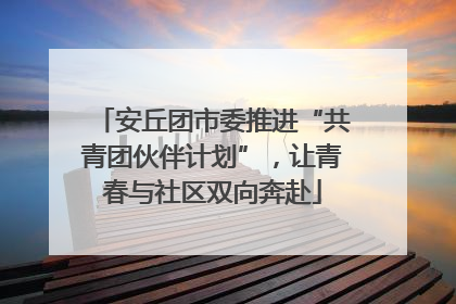 安丘团市委推进“共青团伙伴计划”，让青春与社区双向奔赴