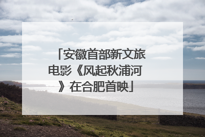 安徽首部新文旅电影《风起秋浦河》在合肥首映