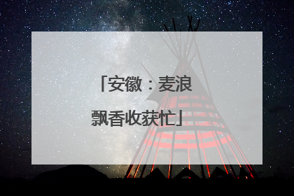 安徽：麦浪飘香收获忙
