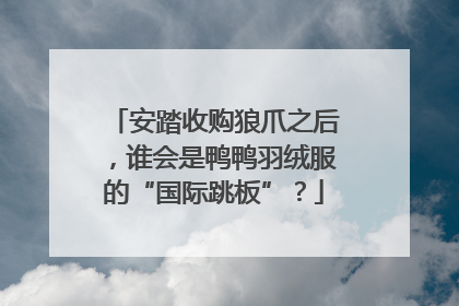 安踏收购狼爪之后，谁会是鸭鸭羽绒服的“国际跳板”？