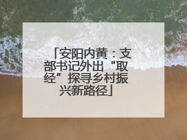 安阳内黄：支部书记外出“取经”探寻乡村振兴新路径