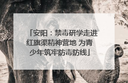 安阳：禁毒研学走进红旗渠精神营地 为青少年筑牢防毒防线