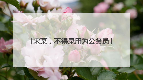 宋某，不得录用为公务员