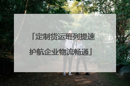 定制货运班列提速 护航企业物流畅通