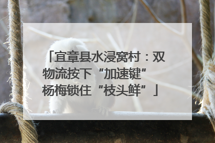 宜章县水浸窝村：双物流按下“加速键” 杨梅锁住“枝头鲜”