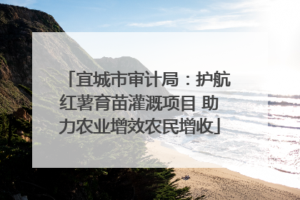 宜城市审计局：护航红薯育苗灌溉项目 助力农业增效农民增收