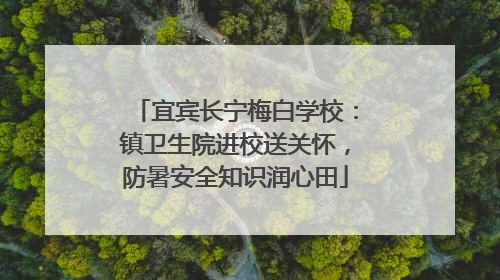 宜宾长宁梅白学校：镇卫生院进校送关怀，防暑安全知识润心田