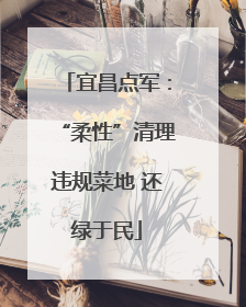 宜昌点军：“柔性”清理违规菜地 还绿于民