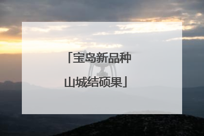宝岛新品种 山城结硕果