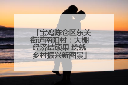 宝鸡陈仓区东关街道南阳村：大棚经济结硕果 绘就乡村振兴新图景