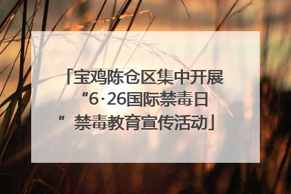 宝鸡陈仓区集中开展“6･26国际禁毒日”禁毒教育宣传活动
