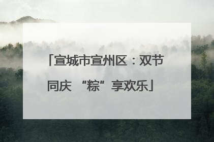 宣城市宣州区：双节同庆 “粽”享欢乐