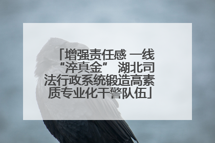 增强责任感 一线“淬真金” 湖北司法行政系统锻造高素质专业化干警队伍