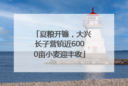 夏粮开镰，大兴长子营镇近6000亩小麦迎丰收