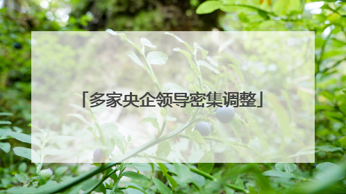多家央企领导密集调整