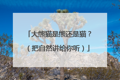 大熊猫是熊还是猫？（把自然讲给你听）