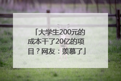 大学生200元的成本干了20亿的项目？网友：羡慕了