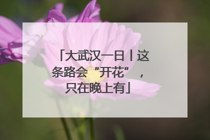 大武汉一日丨这条路会“开花”，只在晚上有