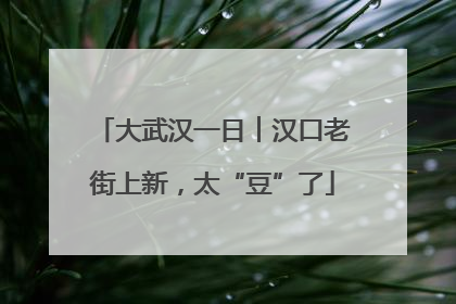大武汉一日︱汉口老街上新，太“豆”了