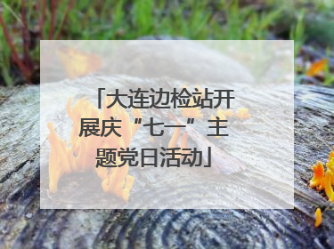 大连边检站开展庆“七一”主题党日活动