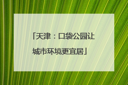 天津：口袋公园让城市环境更宜居