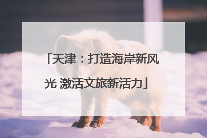 天津：打造海岸新风光 激活文旅新活力