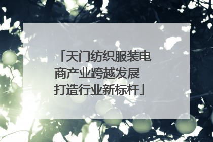 天门纺织服装电商产业跨越发展 打造行业新标杆