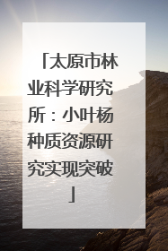 太原市林业科学研究所：小叶杨种质资源研究实现突破