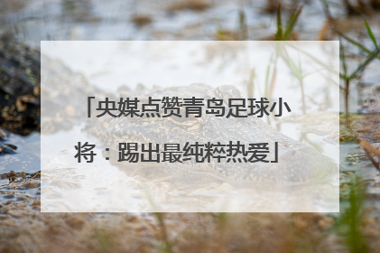 央媒点赞青岛足球小将：踢出最纯粹热爱