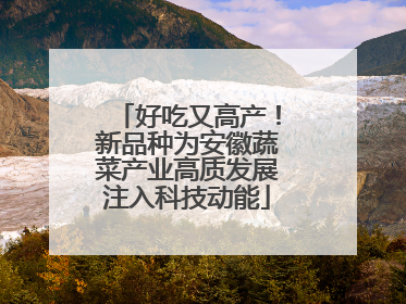 好吃又高产！新品种为安徽蔬菜产业高质发展注入科技动能