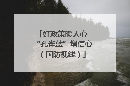 好政策暖人心 “孔雀蓝”增信心（国防视线）