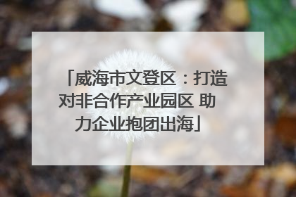 威海市文登区：打造对非合作产业园区 助力企业抱团出海