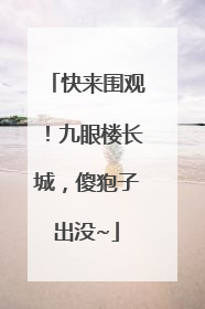 快来围观！九眼楼长城，傻狍子出没~