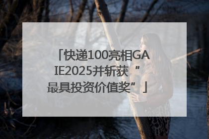 快递100亮相GAIE2025并斩获“最具投资价值奖”