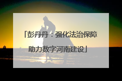 彭丹丹：强化法治保障 助力数字河南建设