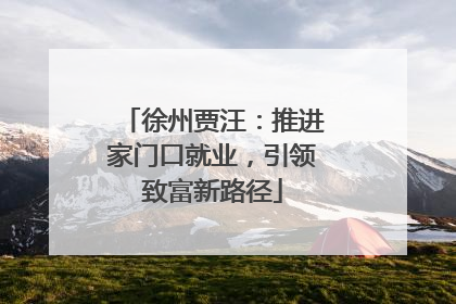 徐州贾汪：推进家门口就业，引领致富新路径