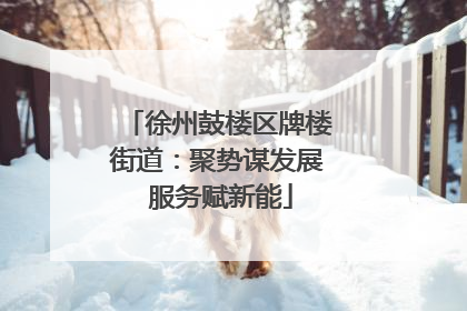 徐州鼓楼区牌楼街道：聚势谋发展 服务赋新能