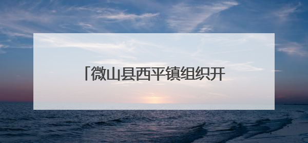 微山县西平镇组织开展“我在新时代文明实践中心过端午”活动