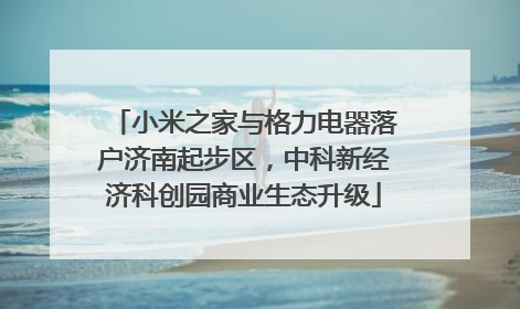 小米之家与格力电器落户济南起步区，中科新经济科创园商业生态升级