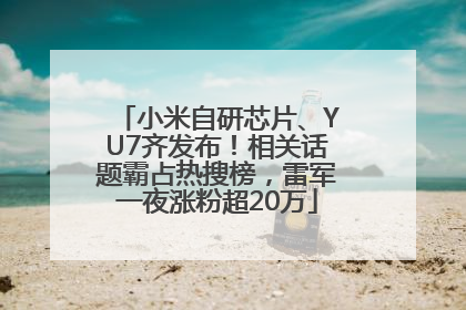小米自研芯片、YU7齐发布！相关话题霸占热搜榜，雷军一夜涨粉超20万