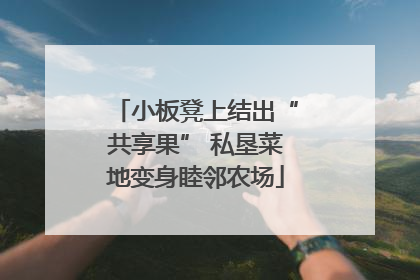 小板凳上结出“共享果” 私垦菜地变身睦邻农场