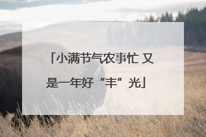 小满节气农事忙 又是一年好“丰”光