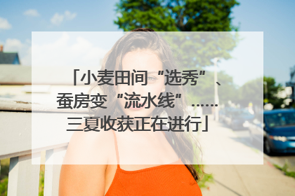 小麦田间“选秀”、蚕房变“流水线”……三夏收获正在进行