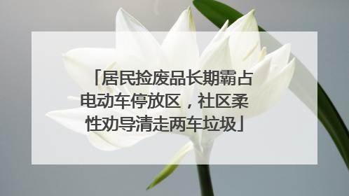 居民捡废品长期霸占电动车停放区，社区柔性劝导清走两车垃圾